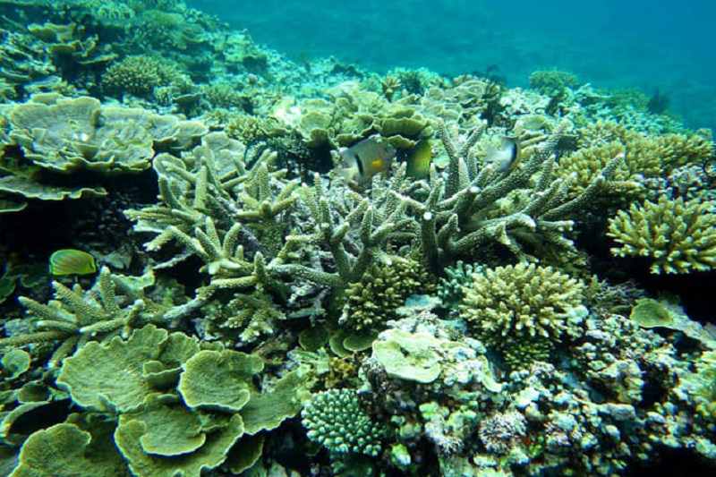 Ảnh slide minh họa 2